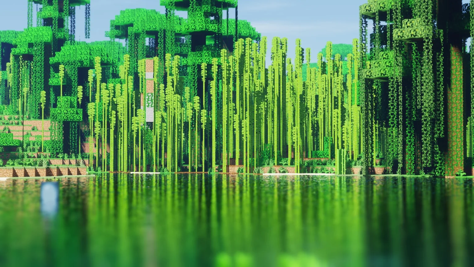 Lac entouré de bambous dans Pinegrove