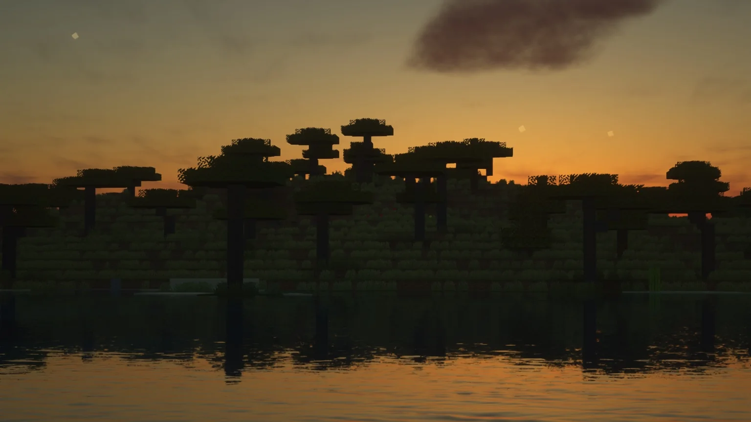 Lac au coucher du soleil sur Pinegrove